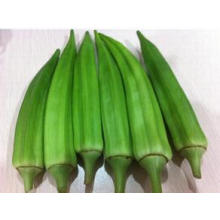 Good Qualtiy 100% Natural Okra Extract